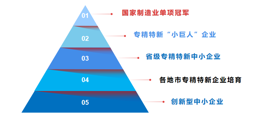 梯度培育体系